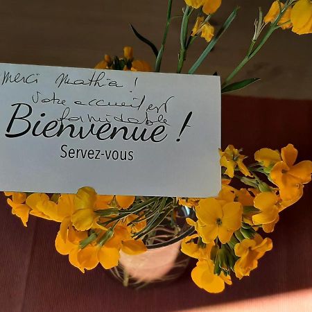 Le Moutardier : Chaleureux T2 Au Coeur De Ville Dijon Exteriér fotografie