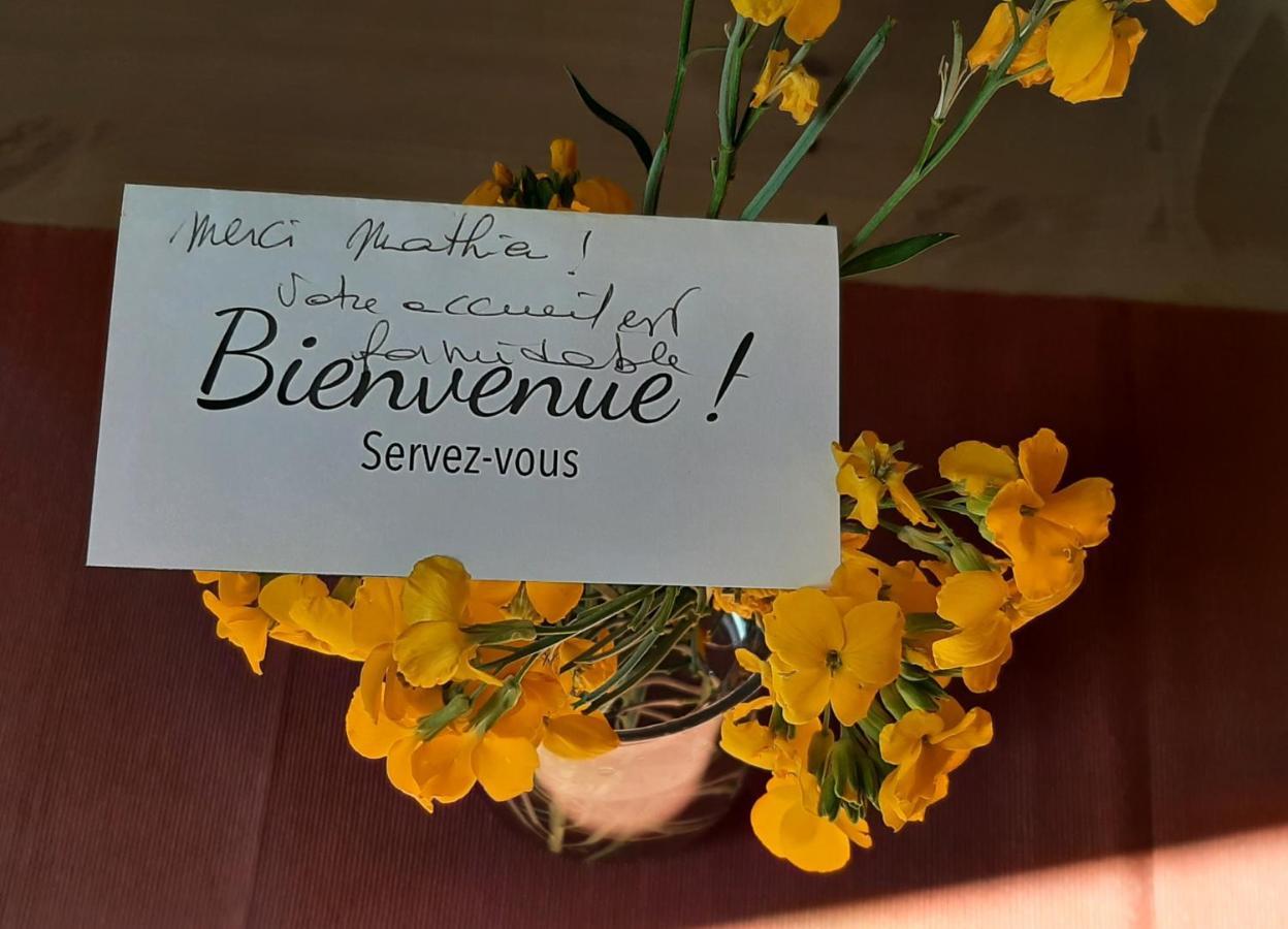 Le Moutardier : Chaleureux T2 Au Coeur De Ville Dijon Exteriér fotografie